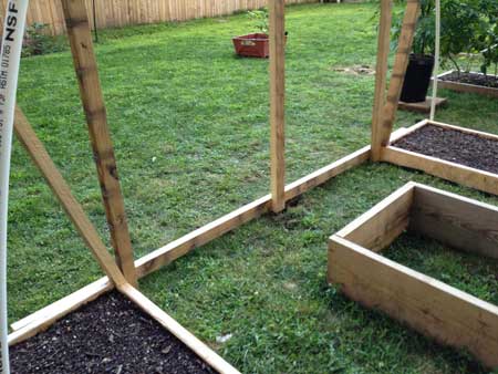 View of the bottom of the cannabis outdoor greenhouse