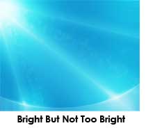 Marijuana plants light bright light... but not TOO bright Marijuana plants light bright light... but not TOO bright