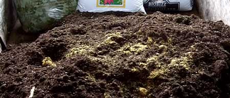 soil super organic grow recipe cannabis bone meal fish pile weed