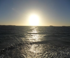 Natures grow light in all its glory!