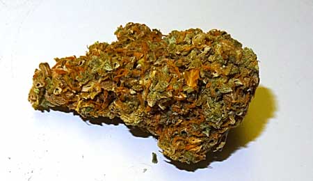 Yellow spots appear wherever there was a yellow sugar leaf