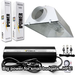 A whole light setup! Add tent, exhaust and plant and you're done!