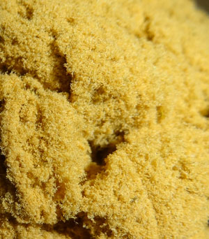 dry ice hash