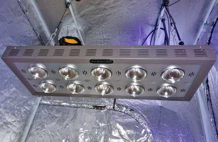 LED grow lights (like this Pro-Grow 750) come in all shapes and sizes