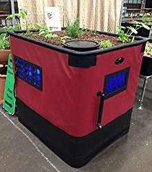 Growing weed in aquaponic system
