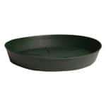 Plants saucers have to be emptied one by one