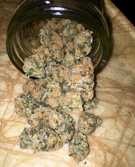 Beautifully dense cannabis buds spilling out of a glass jar