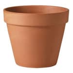 Get a Tera cotta pot / container for growing weed online at Amazon.com!