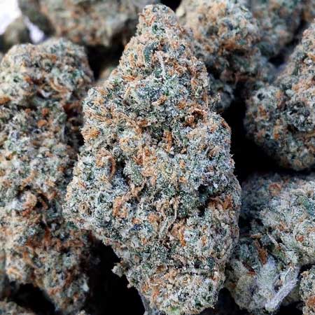 These marijuana nugs are an example of very well-trimmed cannabis buds!