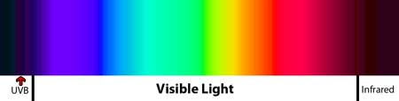 Where ultraviolet B light is located on the light spectrum