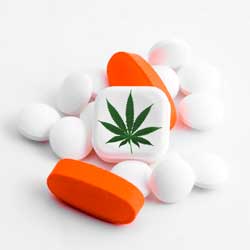 Medical marijuana should not be used as a replacement for prescriptions from your doctor!