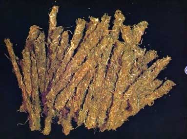 cannabis-strain-thai-stick-1976.jpg