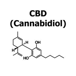 CBD (Cannabidiol) is a cannabinoid found in Medical Marijuana which may offer relief for some symptoms including anxiety and seizures