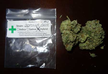 Example of "Gorilla Glue" medical marijuana from a dispensary in California