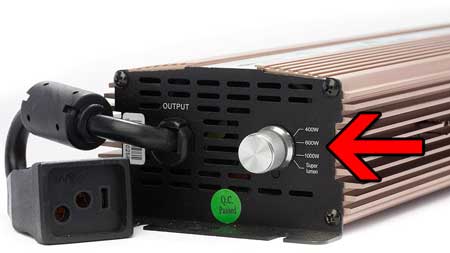 A dimmable ballast allows you to turn down the power on your grow lights