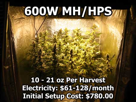 600W HPS grow lights