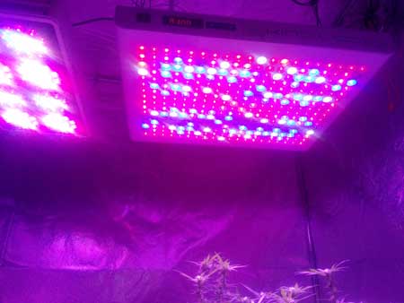 One strip went out on the Kind XL 1000W LED grow light