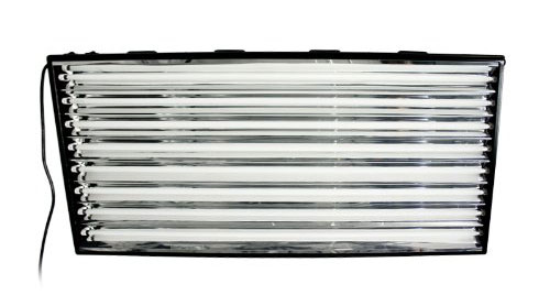 Many cannabis growers have successfully used T5s to grow buds