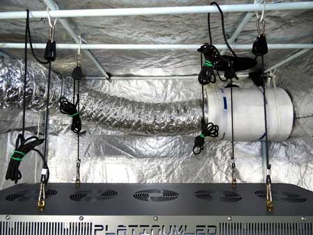 Example of LED grow light being hung by rope ratchets in a grow tent