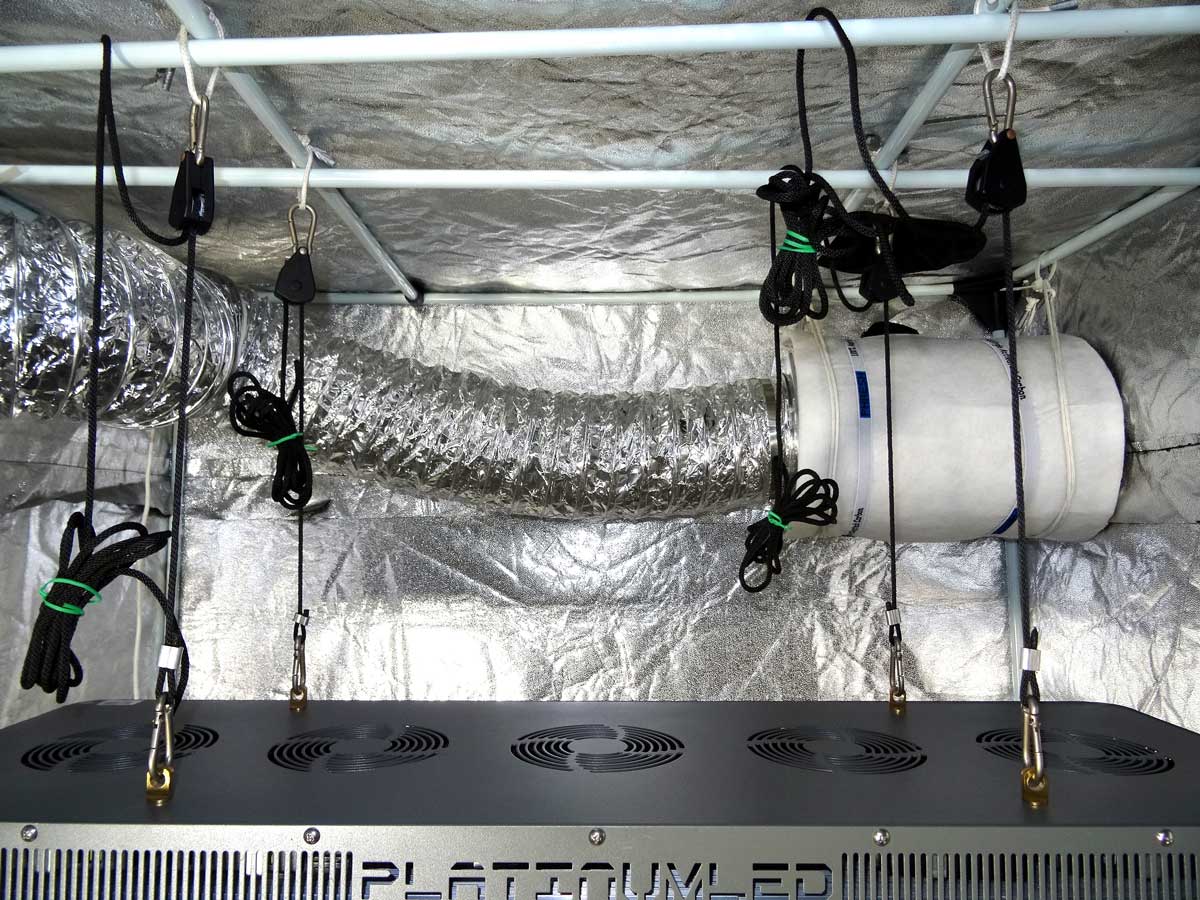 How to Setup a Grow Tent With Led Lights 