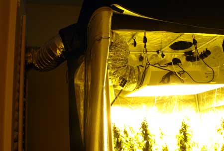 Example of setting up a full exhaust system with ducting connecting the grow light to the fan