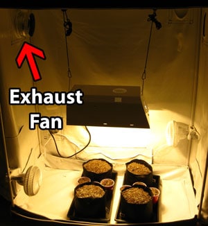 You just need an exhaust fan and a grow light to start growing cannabis in a tent!