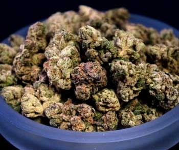A bowl of sweet-smelling marijuana buds!