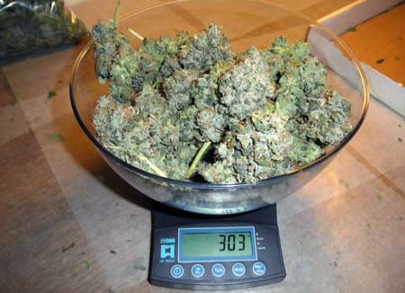 It's very common for growers to measure their buds different from other cannabis growers