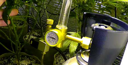 Example of a CO2 tank in a cannabis grow room. Growers use a CO2 monitor attached to a tank of CO2 to regulate the CO2 levels in the cannabis grow space.