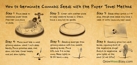 Paper towel method germination cheat sheet!