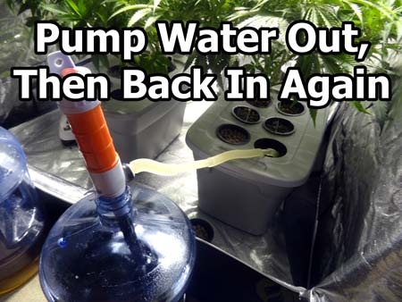 To give plant roots a boost of oxygen, pump all the reservoir out, then pump it back in again