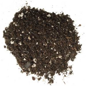 Example of good cannabis soil - Ocean Forest soil by Fox Farm