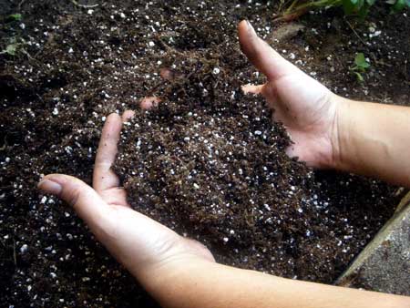 Try to get soil that looks like this for your cannabis plants!