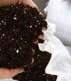 Example of good soil for growing cannabis