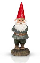 Get a Garden Gnome on Amazon!