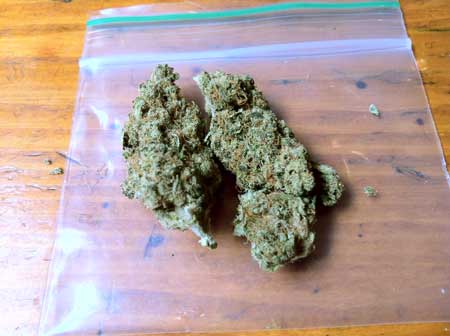 Skunk buds have relaxing potency and that classic skunky smell