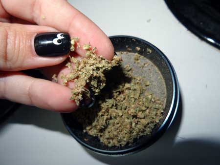 www.growweedeasy.com