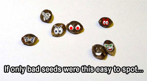 Uh oh...these are definitely some bad cannabis seeds...