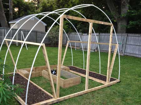 Example of a home-made cannabis greenhouse that could be used to be a blackout tent for the light deprivation technique