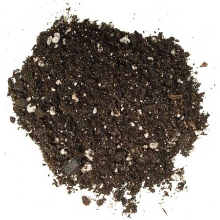 Example of great cannabis soil