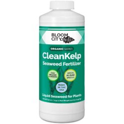 Bloom City Kelp Plant Supplements can help some cannabis plants fight heat stress.
