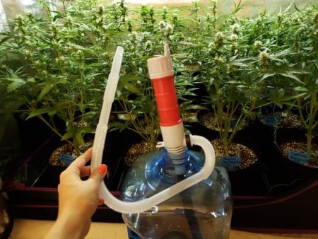 A battery-operated water transfer pump is a really easy way to water your cannabis plants