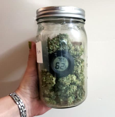 Example of a hygrometer to report the humidity inside a cannabis curing jar