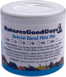 Predatory mites including Amblysieus andersoni can be effective at fighting hemp russet mites