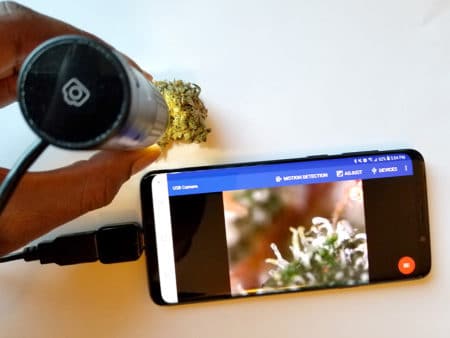 Looking at trichomes up close through USB magnifier