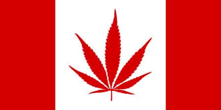 Cannabis Canadian Flag - Did you know that growing up to 4 cannabis per household is legal in Canada for adults?