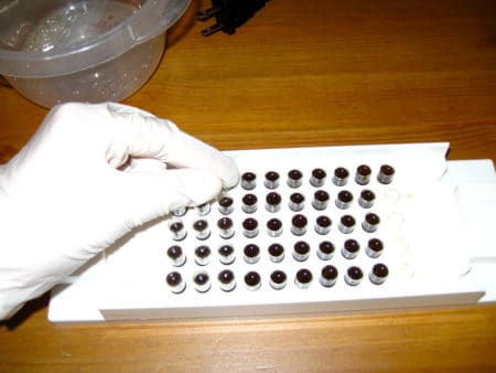 Placing caps on finished cannabis capsules