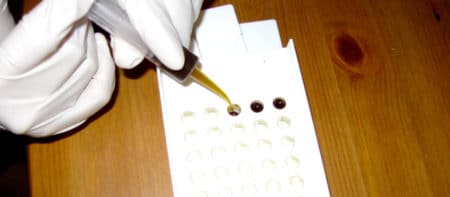 Carefully dispensing cannabis oil into the capsules.