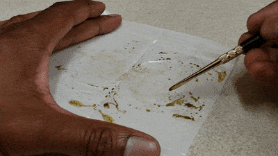 Collecting some fresh cannabis rosin from parchment paper.