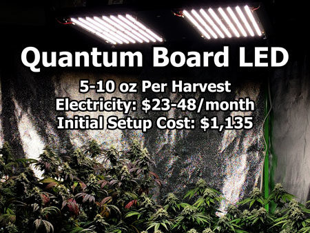 Example of an HLG Quantum Board LED grow light setup (with estimated yields, electricity, and initial setup cost)